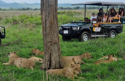 Selous 2 Days 1 Night Safari