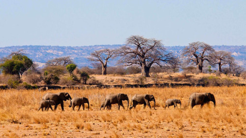 3 Days 2 Nights Tarangire ,Ngorongoro & Materuin Waterfalls