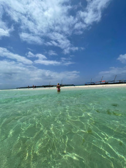 (3 in 1) - Spice,stone town and prison island