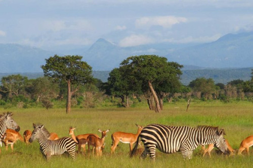 Selou 3 Days 2 Nights Safari
